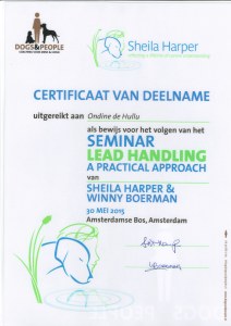 20150530 certificaat