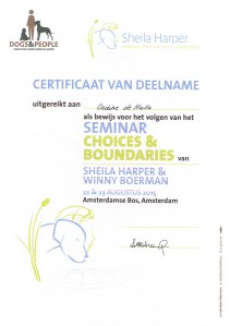 20150823 certificaat