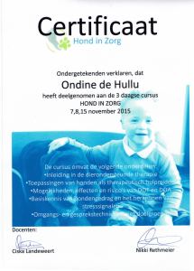 20151115 cursus Hond in Zorg