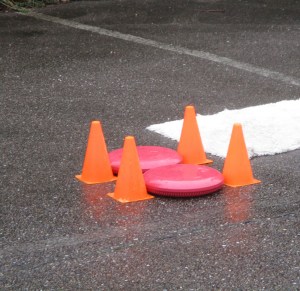 20151017 puppyles 007