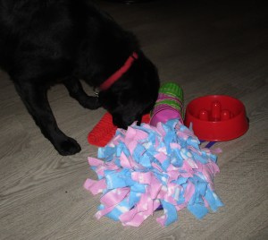 20151114 Hond in Zorg 002