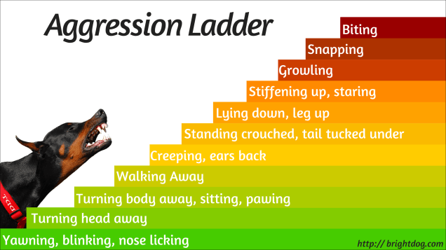 Aggression-Ladder-1
