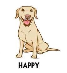 happy