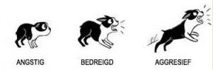 bedreigd-agressief