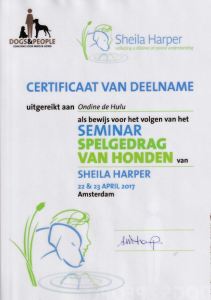 20170423 certifcaat spelgedrag