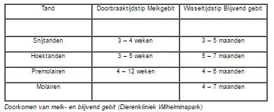 hondengebit doorkomen