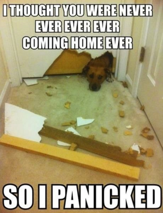 coming home 2