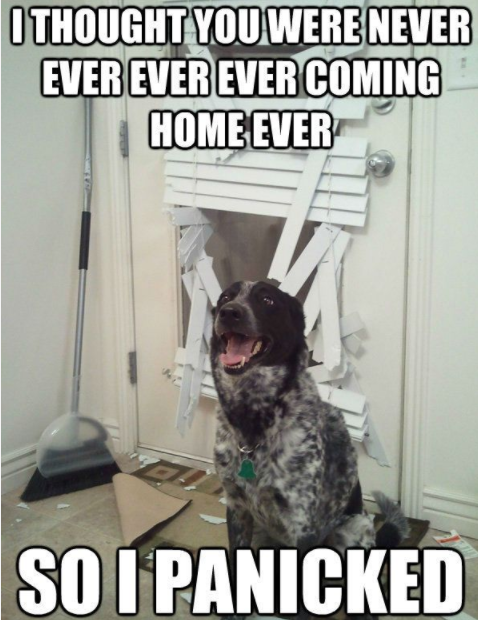 coming home