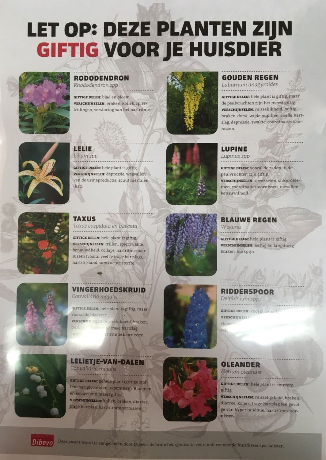 6ec4efa1-bb17-48b9-8b2f-7069bbbc439a