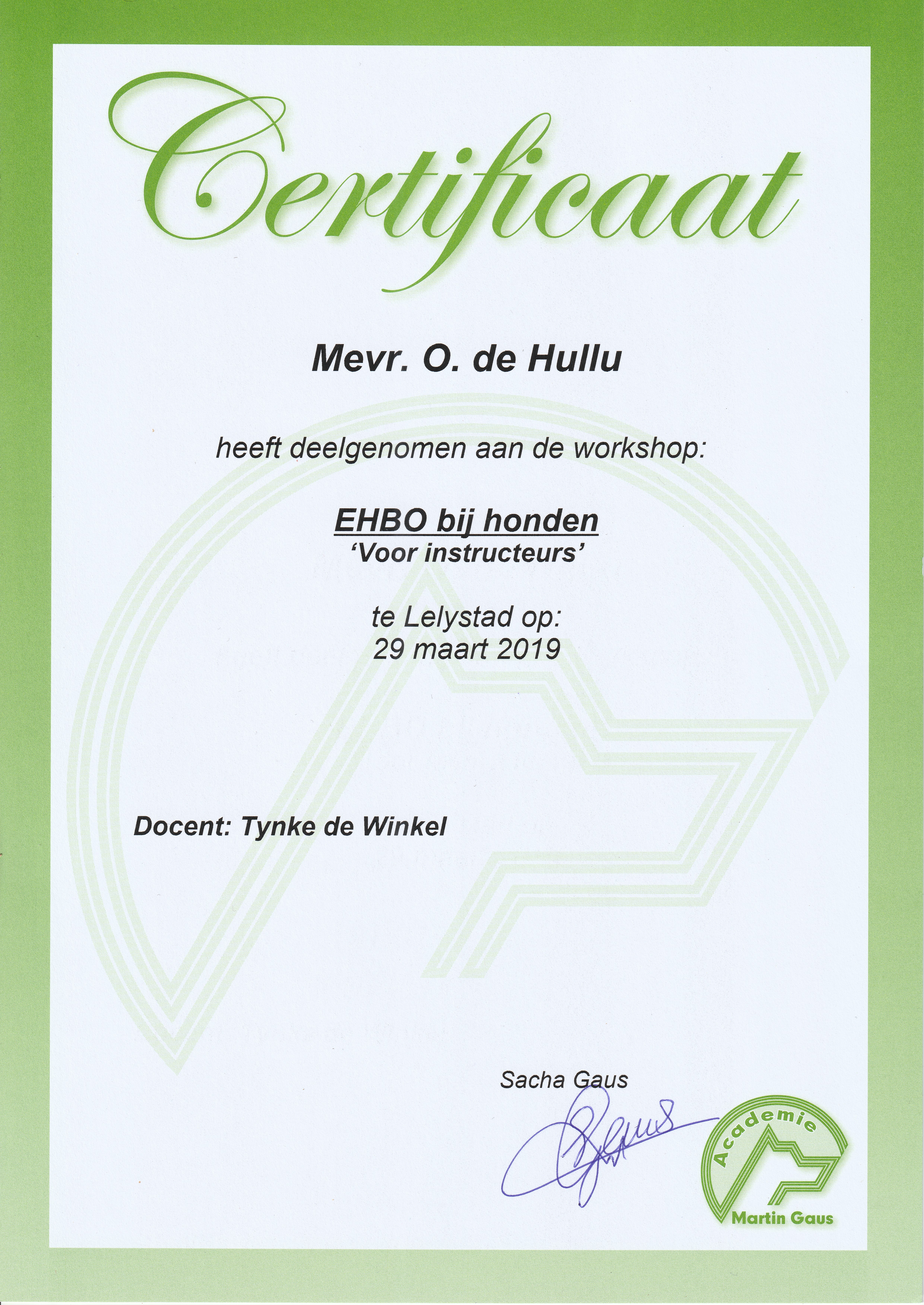 201903 29 EHBO bij honden