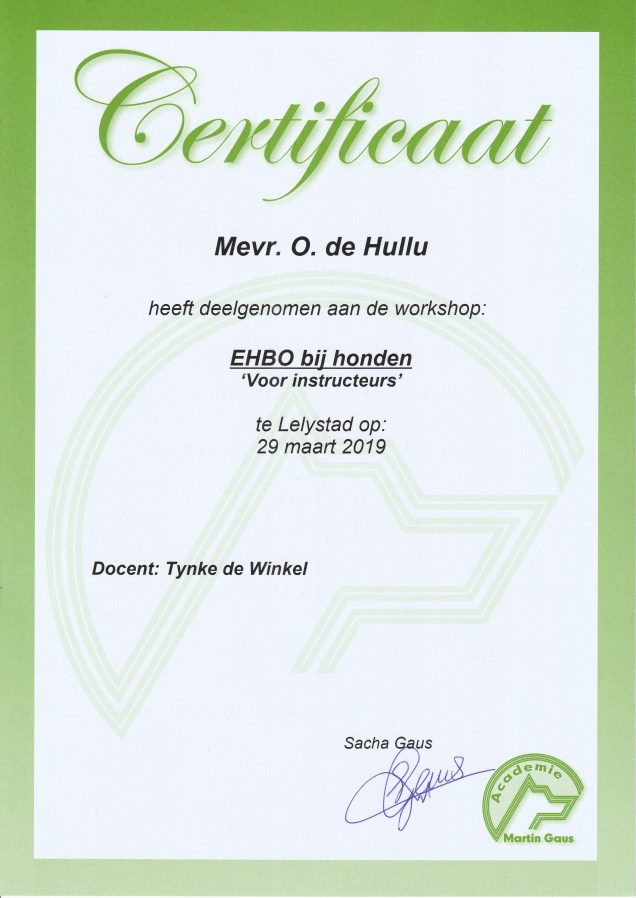 201903 29 EHBO bij honden