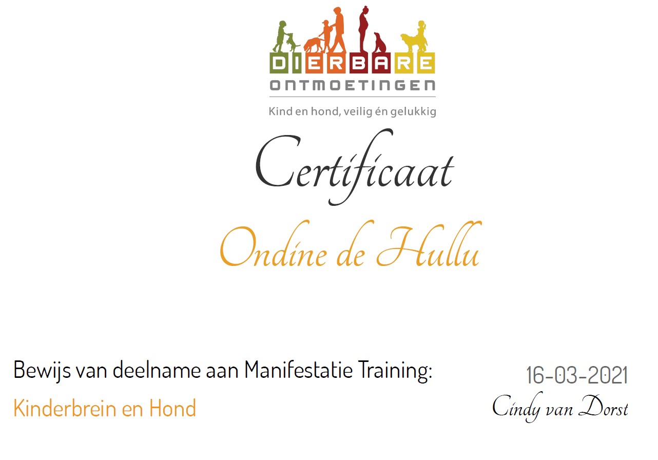 2021 Kinderbrein Dierbare Ontmoetingen