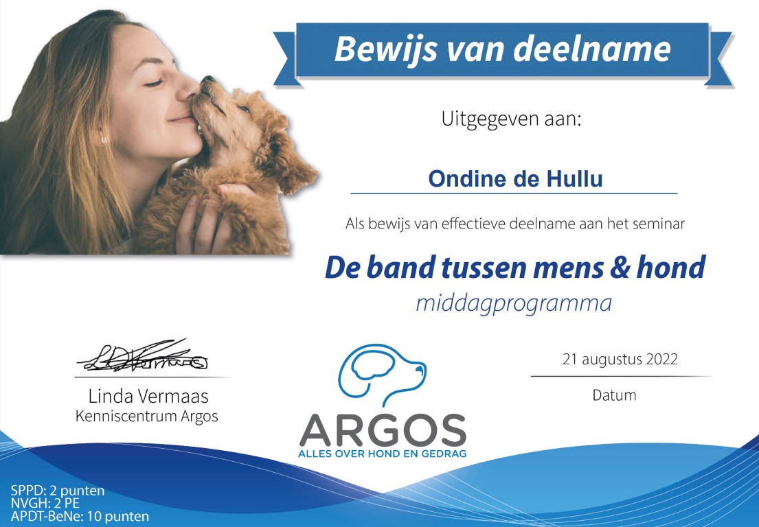 Certificaat van deelname Ondine de Hullu