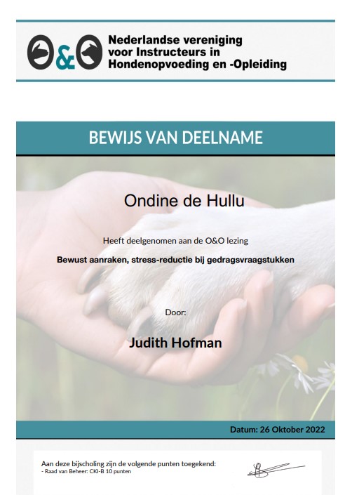 bewijs deelname OenO